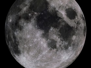 moon collection 3D Модель