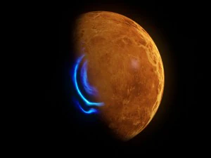 venus 8k 3D Model