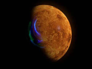 venus 8k 3D Model