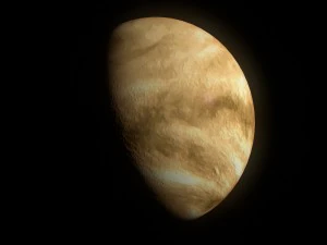 venus 8k 3D Model