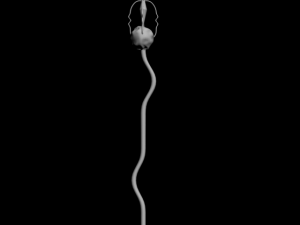 magic stick 3D Model