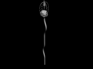magic stick 3D Model