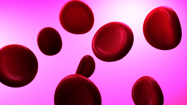 red blood cells 3D मॉडल .c4d .max .obj .3ds .fbx .stl .blend 