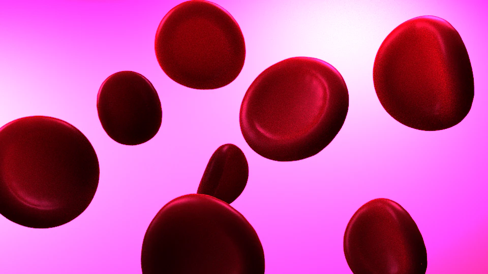 red blood cells 3D Model .c4d .max .obj .3ds .fbx .stl .blend 