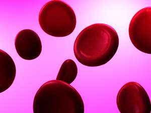 red blood cells 3D Model