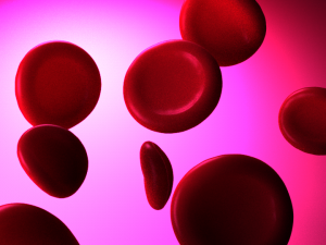 red blood cells 3D मॉडल