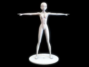 anime girl basic body 3D Model