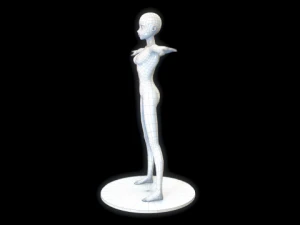 anime girl basic body 3D Model