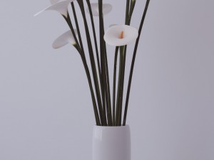 flovers and vase 3D 모델