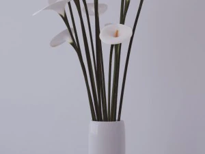 bunga dan vas Model 3D