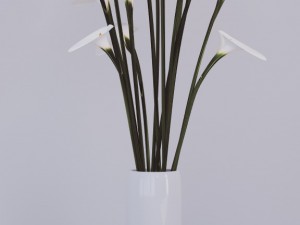 flovers and vase Modelo 3D