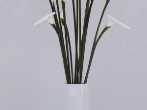 flovers and vase 3D Model