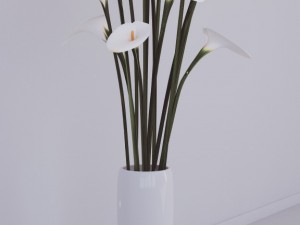 flovers and vase Modelo 3D