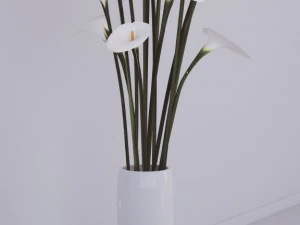 flovers and vase 3D Model