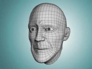 head base mesh 3D Model