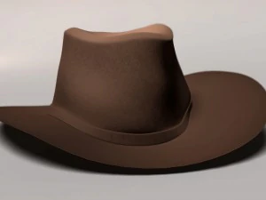 western hat 3D Model