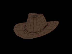western hat 3D Модель