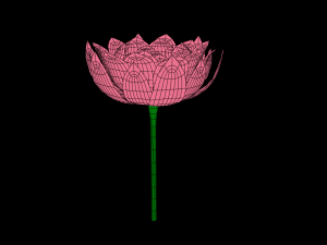 lotus flower 3D Model