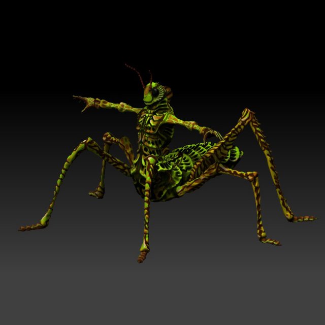 grasshopper alien 2k rigged 3Dモデル .c4d .max .obj .3ds .fbx .stl .blend 