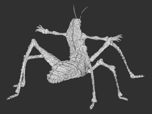 grasshopper alien 2k rigged 3Dモデル