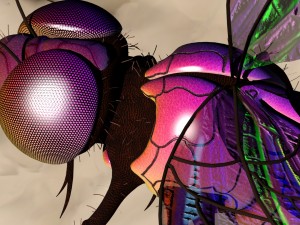 dragonfly with river reed plants and sand plane 3D मॉडल
