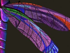 dragonfly with river reed plants and sand plane 3D मॉडल