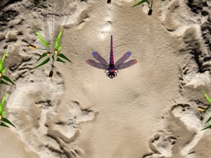 dragonfly with river reed plants and sand plane 3D मॉडल