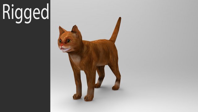 cat 3D Model .c4d .max .obj .3ds .fbx .stl .blend 