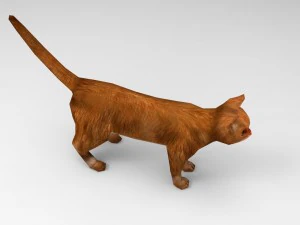 cat 3D Model