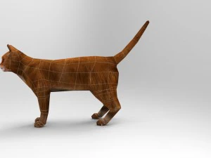 cat 3D Model