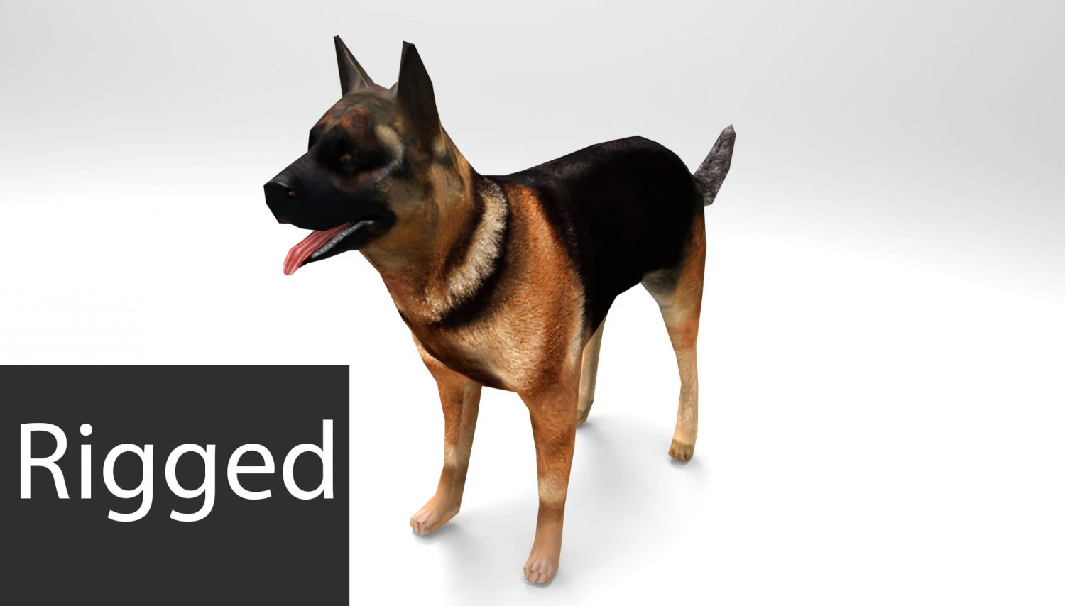 dog 3D Model .c4d .max .obj .3ds .fbx .stl .blend 