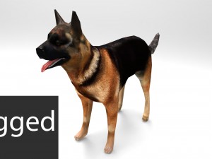dog 3D Model