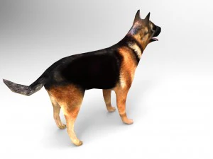 dog 3D Model