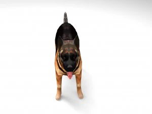 dog 3D Model