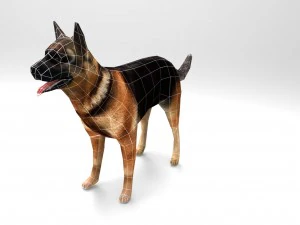 dog 3D Model
