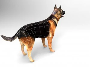 dog 3D Model