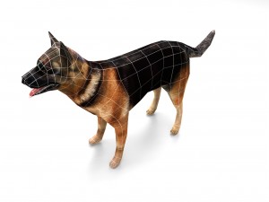 dog 3D मॉडल