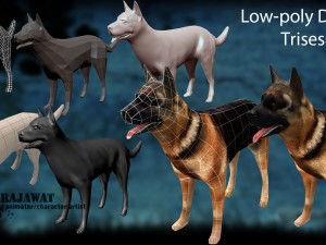 dog 3D मॉडल