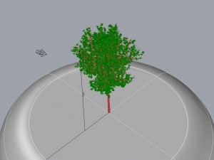tree 01 3D-Modell