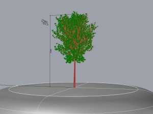 tree 01 3D-Modell