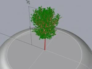 tree 01 3D Model