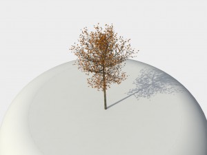 tree 01 3D-Modell