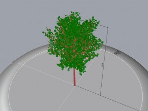 tree 01 3D-Modell
