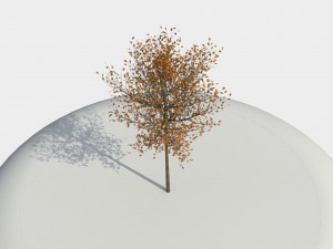 tree 01 3D-Modell