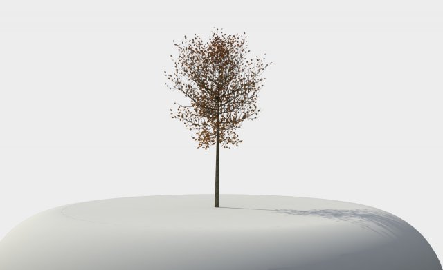tree 01 3D-Modell .c4d .max .obj .3ds .fbx .stl .blend 