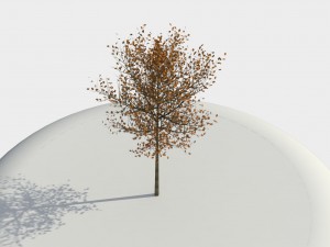 tree 01 3D-Modell