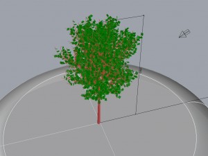 tree 01 3D-Modell