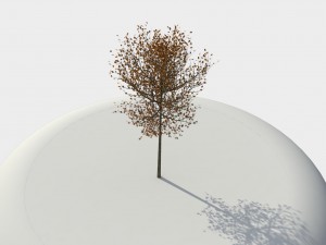 tree 01 3D-Modell