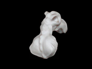 새처럼 생긴 괴물 머리 3D 모델