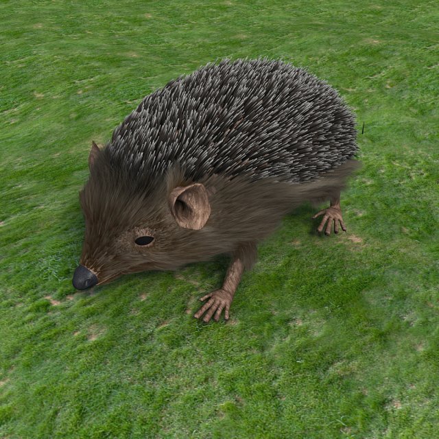 hedgehog 3Dモデル .c4d .max .obj .3ds .fbx .stl .blend 